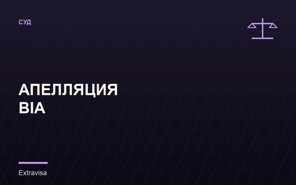 Апелляция в BIA после решения иммиграционного суда